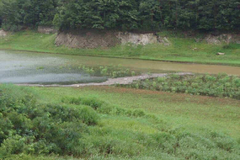 이곳노지가 좋아보입니다 (조황조행기 - 낚시점조황)