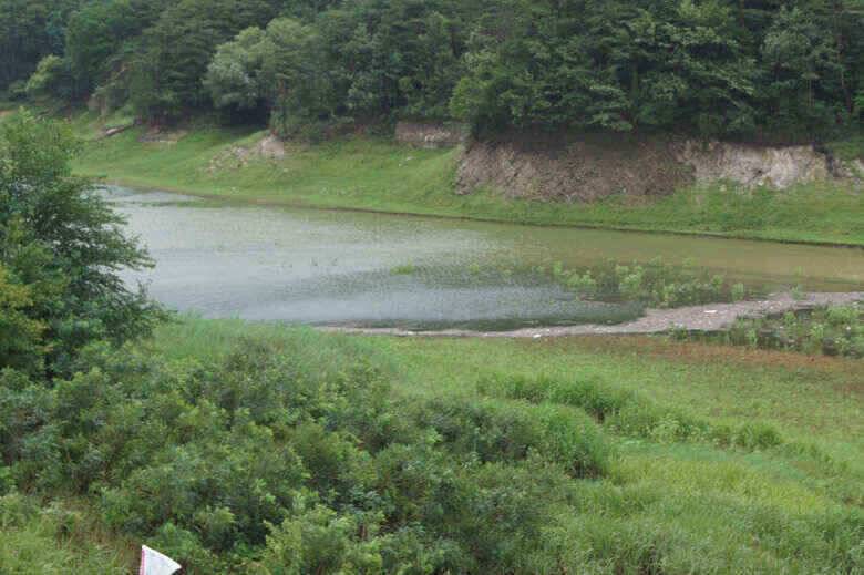 이곳노지가 좋아보입니다 (조황조행기 - 낚시점조황)