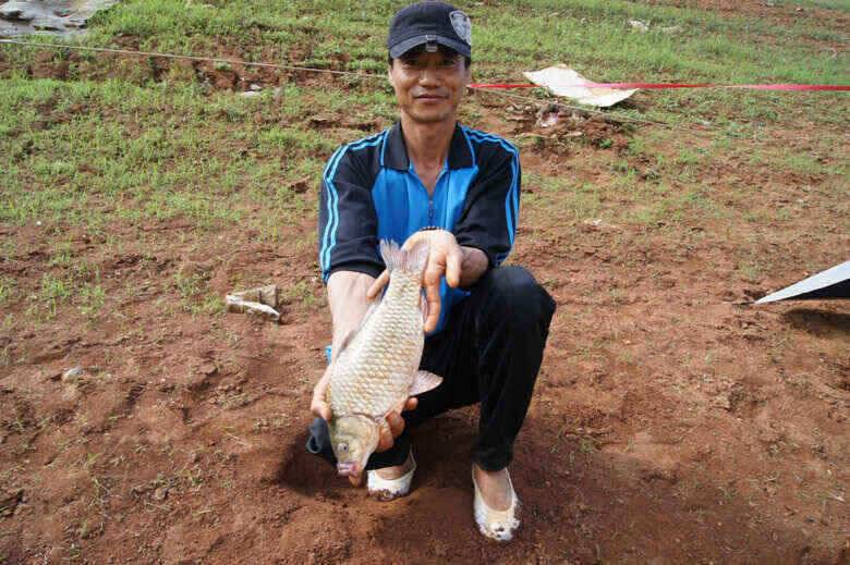 노지39대물붕어와 1kg 급장어 (조황조행기 - 낚시점조황)