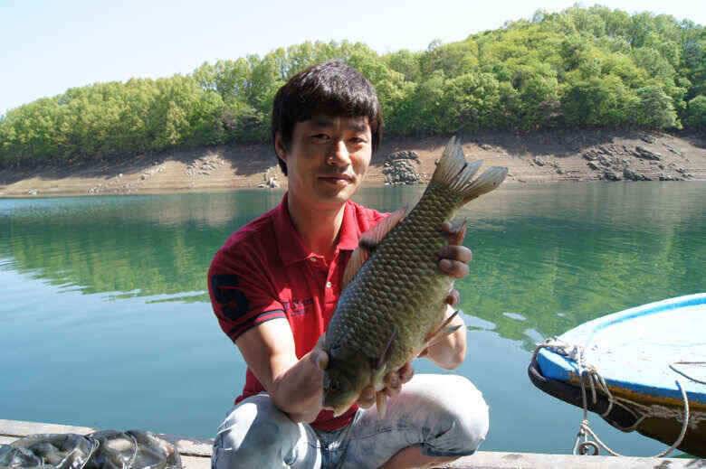 충주호41cm 대물붕어 늘푸른낚시터 (조황조행기 - 낚시점조황)