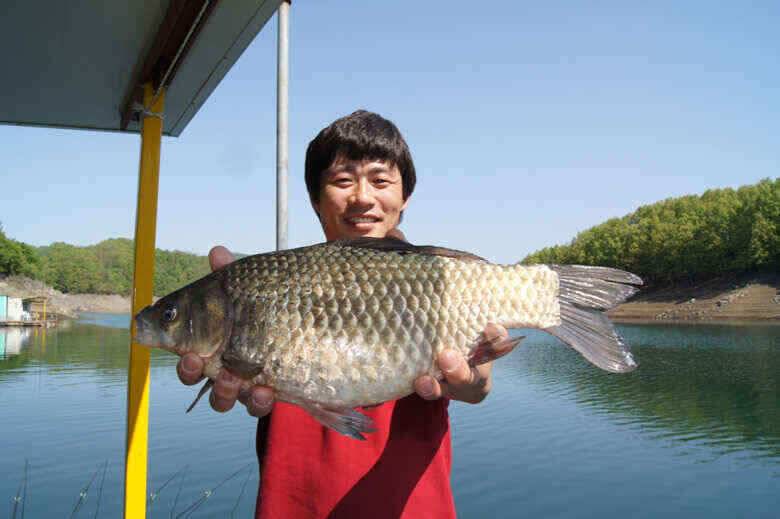 충주호41cm 대물붕어 늘푸른낚시터 (조황조행기 - 낚시점조황)