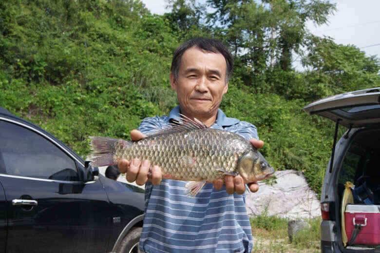 장임식낚시터 통통한마릿수와 노지조황 (조황조행기 - 낚시점조황)