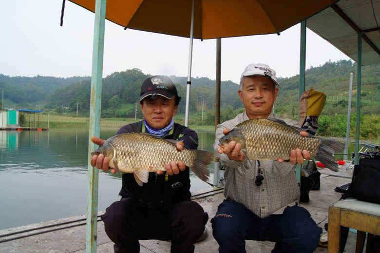 4짜4짜 제일낚시 김기호낚시터 호조황예고 (조황조행기 - 낚시점조황)