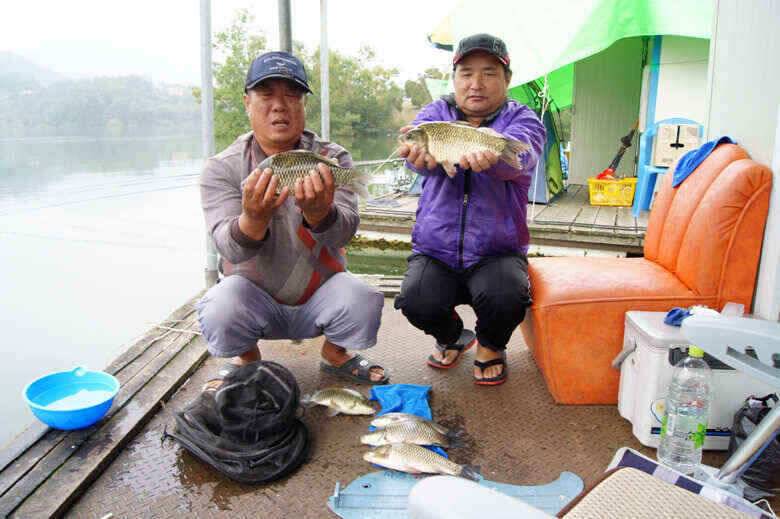 4짜4짜 제일낚시 김기호낚시터 호조황예고 (조황조행기 - 낚시점조황)