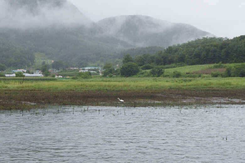충주호 오름수위로 이어진다 제일낚시조황정보 (조황조행기 - 낚시점조황)