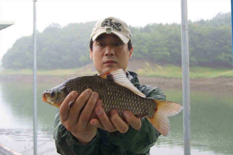 덕곡 신매낚시터 월척과 충주호이모저모 (조황조행기 - 낚시점조황)