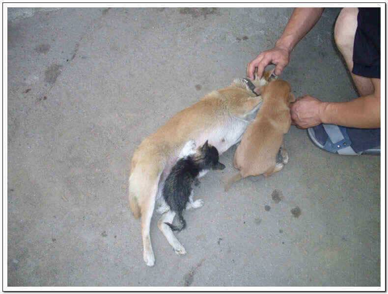 서태안권 실시간 조황 정보 (조황조행기 - 낚시점조황)