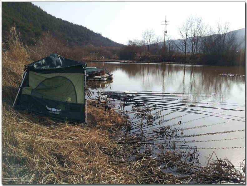 칠곡성주권 조황및 분석 (조황조행기 - 낚시점조황)