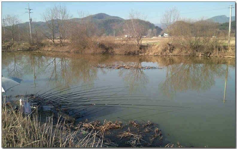 칠곡성주권 조황및 분석 (조황조행기 - 낚시점조황)