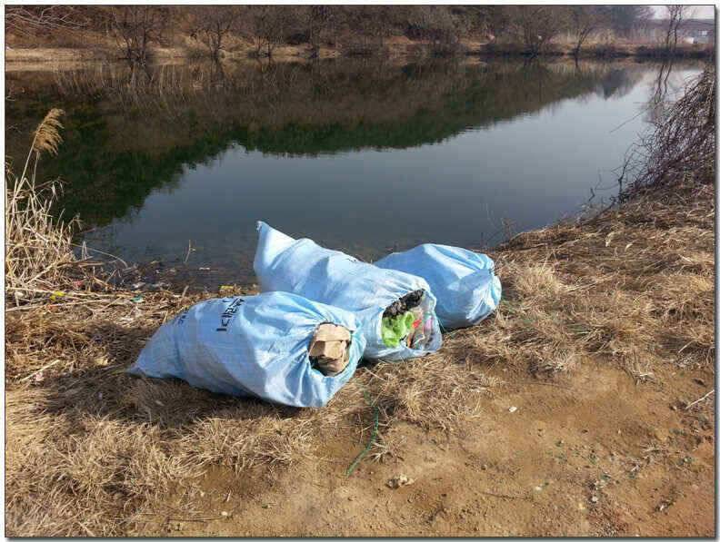 칠곡성주권 조황및 분석 (조황조행기 - 낚시점조황)