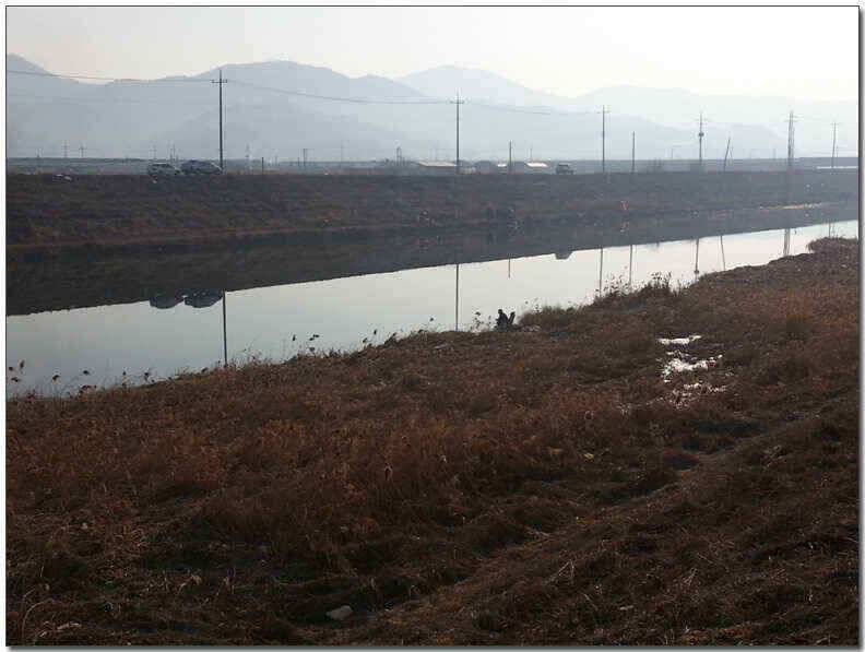 칠곡성주권 조황및 분석 (조황조행기 - 낚시점조황)