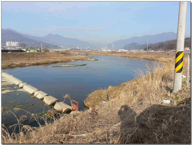 칠곡성주권 조황및 분석 (조황조행기 - 낚시점조황)