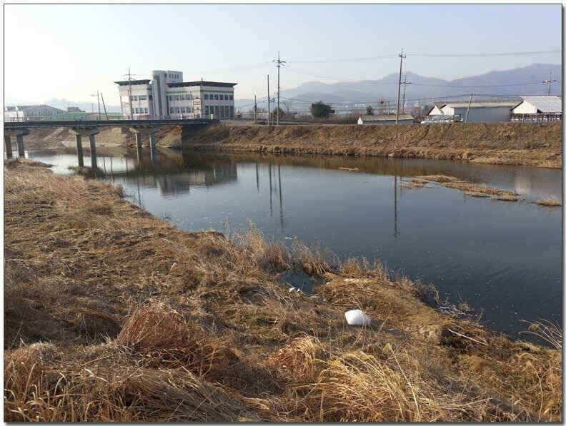 칠곡성주권 조황및 분석 (조황조행기 - 낚시점조황)
