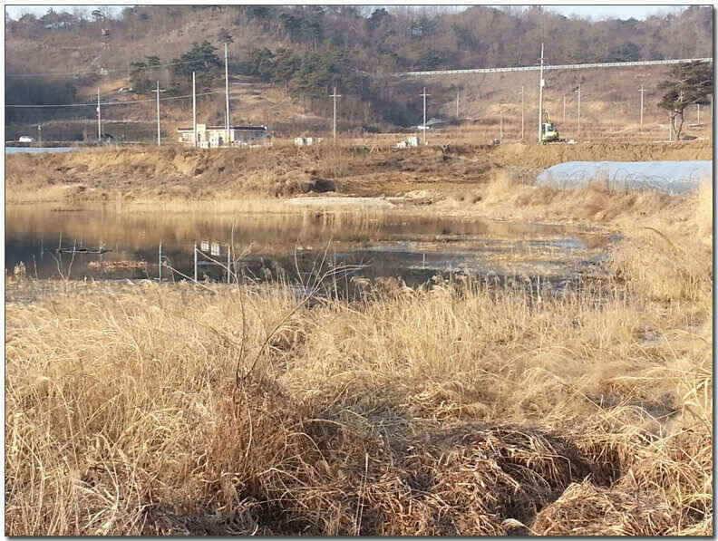 칠곡성주권 조황및 분석 (조황조행기 - 낚시점조황)