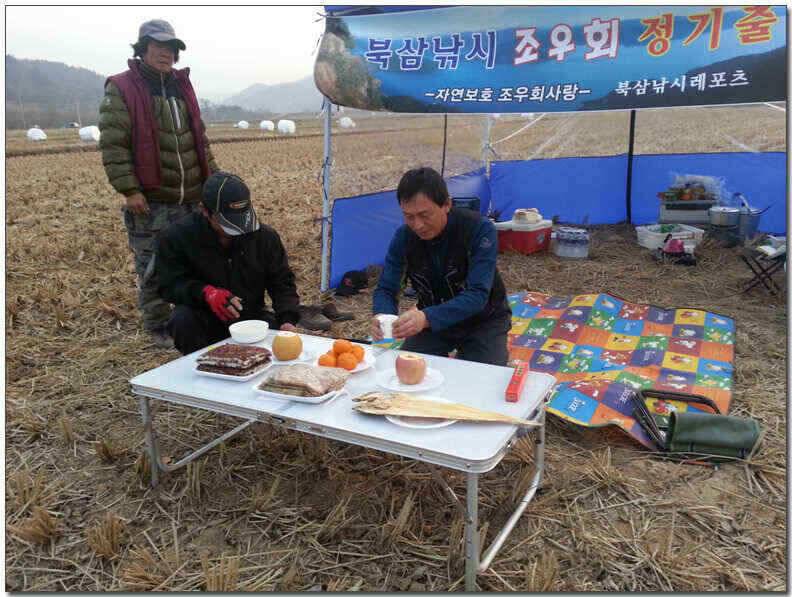 칠곡성주권 조황및 분석 (조황조행기 - 낚시점조황)