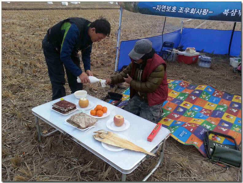 칠곡성주권 조황및 분석 (조황조행기 - 낚시점조황)