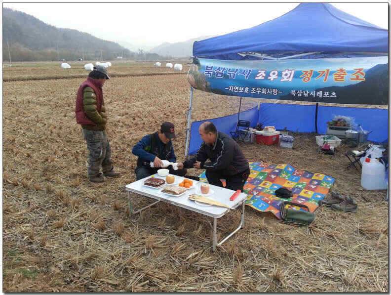 칠곡성주권 조황및 분석 (조황조행기 - 낚시점조황)