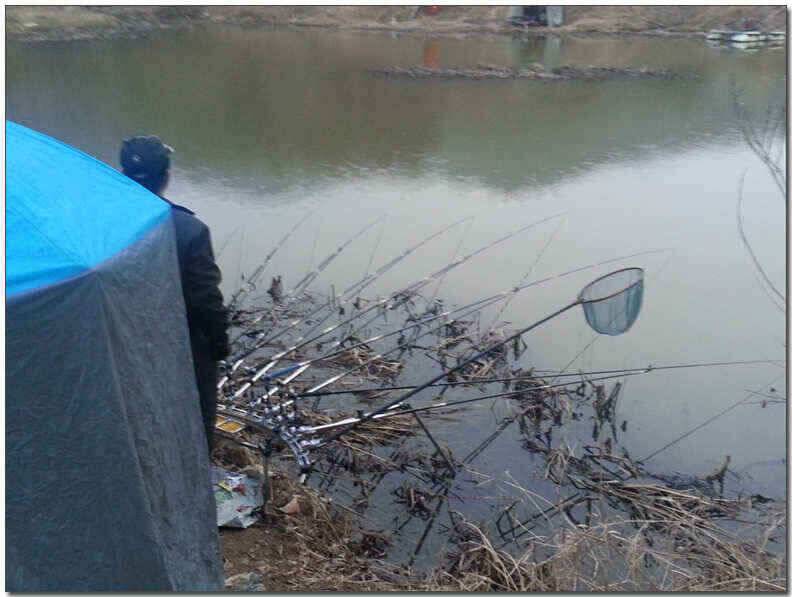 칠곡성주권 조황및 분석 (조황조행기 - 낚시점조황)