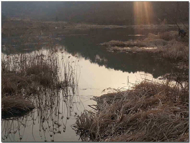 칠곡성주권 조황및 분석 (조황조행기 - 낚시점조황)