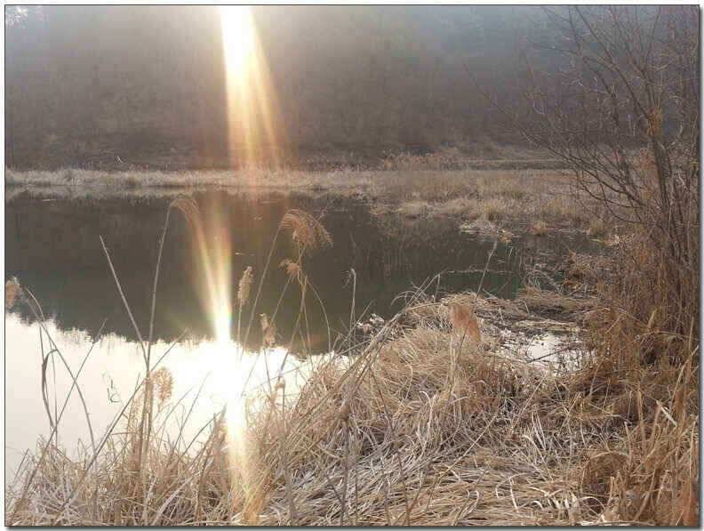 칠곡성주권 조황및 분석 (조황조행기 - 낚시점조황)