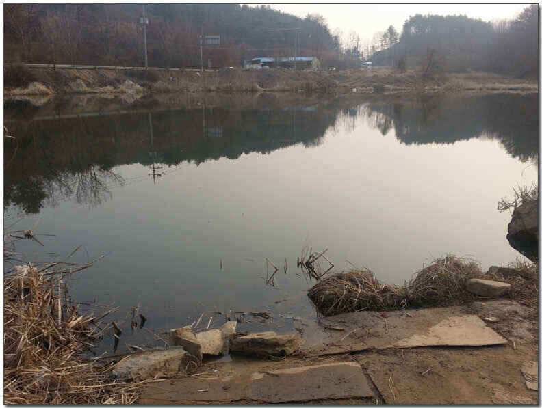 칠곡성주권 조황및 분석 (조황조행기 - 낚시점조황)