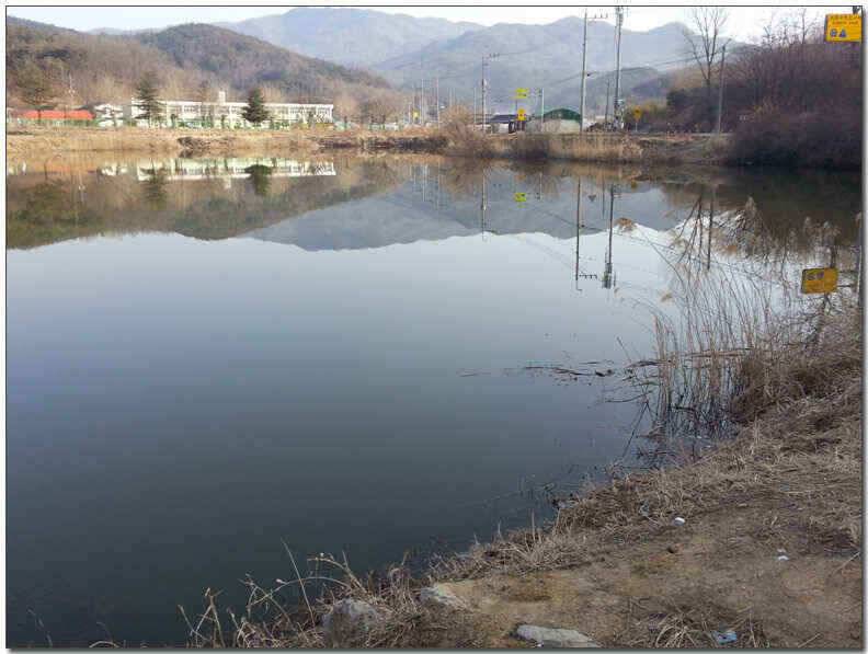 칠곡성주권 조황및 분석 (조황조행기 - 낚시점조황)