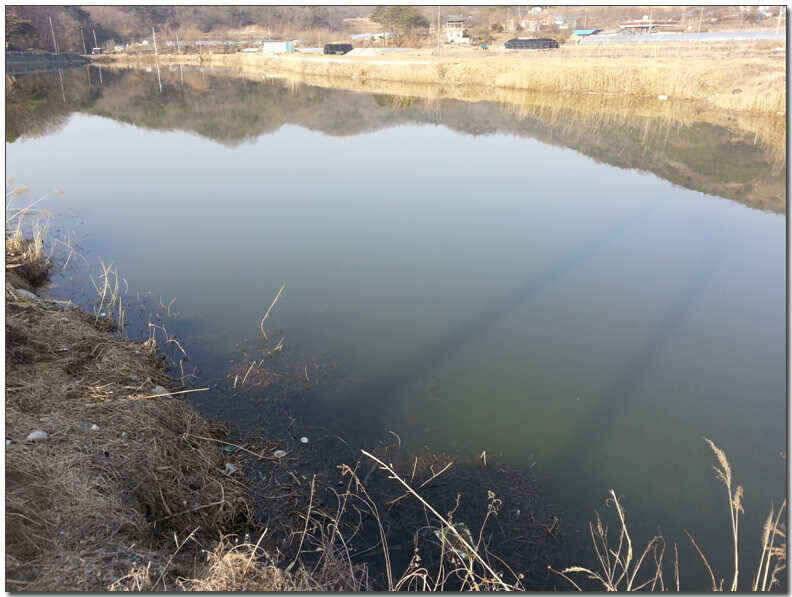 칠곡성주권 조황및 분석 (조황조행기 - 낚시점조황)
