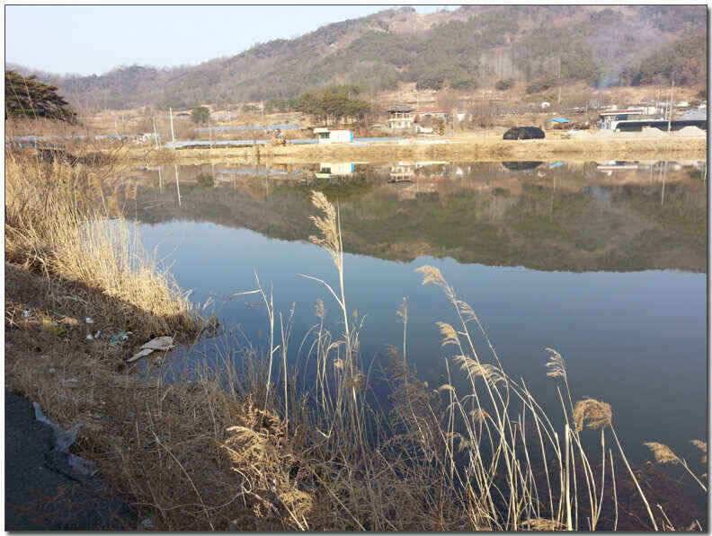 칠곡성주권 조황및 분석 (조황조행기 - 낚시점조황)