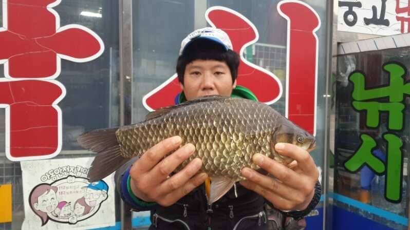 경북권구미권 3월1주차 조황정보 (조황조행기 - 낚시점조황)