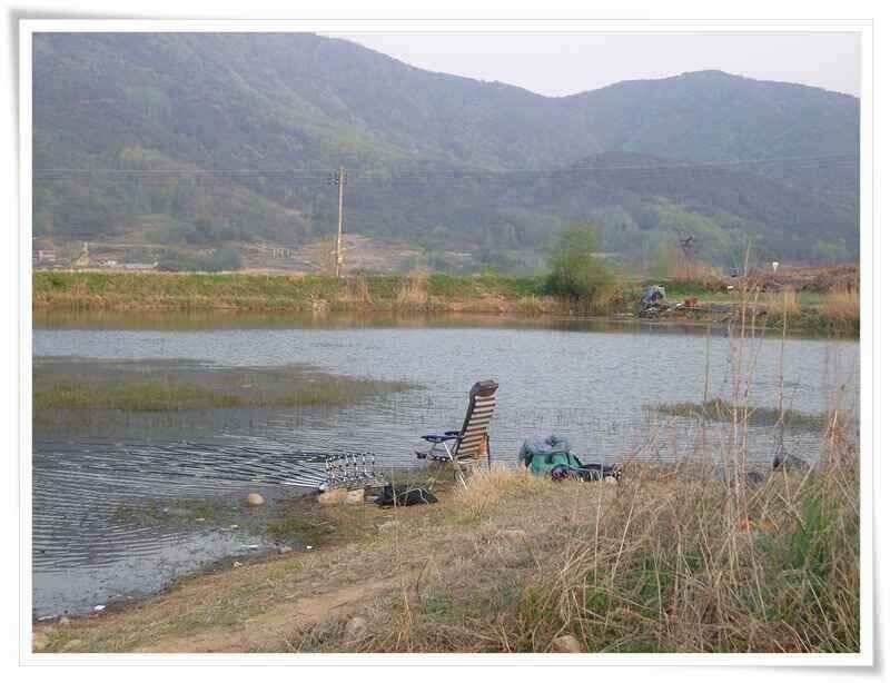 산란기와 회복기 붕어들 (조황조행기 - 낚시점조황)