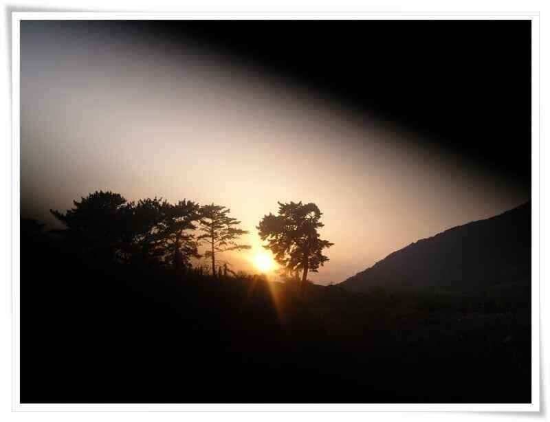 산란기와 회복기 붕어들 (조황조행기 - 낚시점조황)