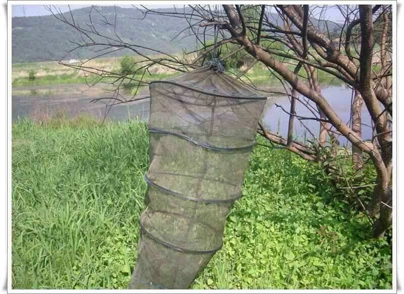 장천늪 다시금 대물 붕어 (조황조행기 - 낚시점조황)
