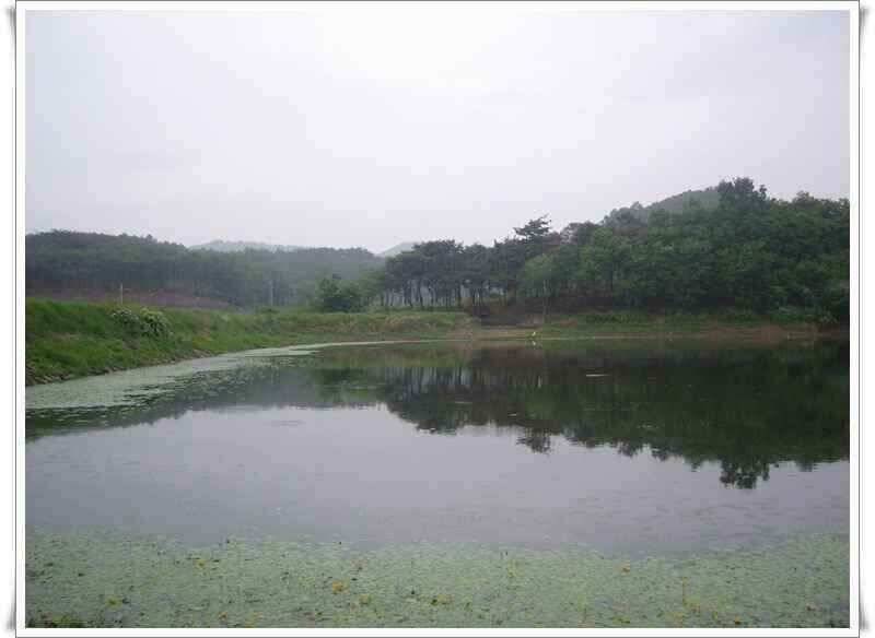 화북지 조황 (조황조행기 - 낚시점조황)