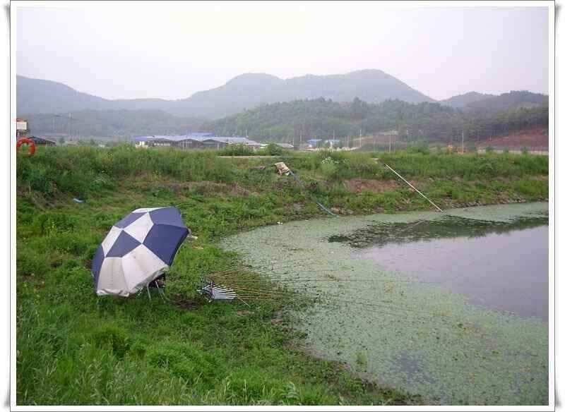 화북지 조황 (조황조행기 - 낚시점조황)