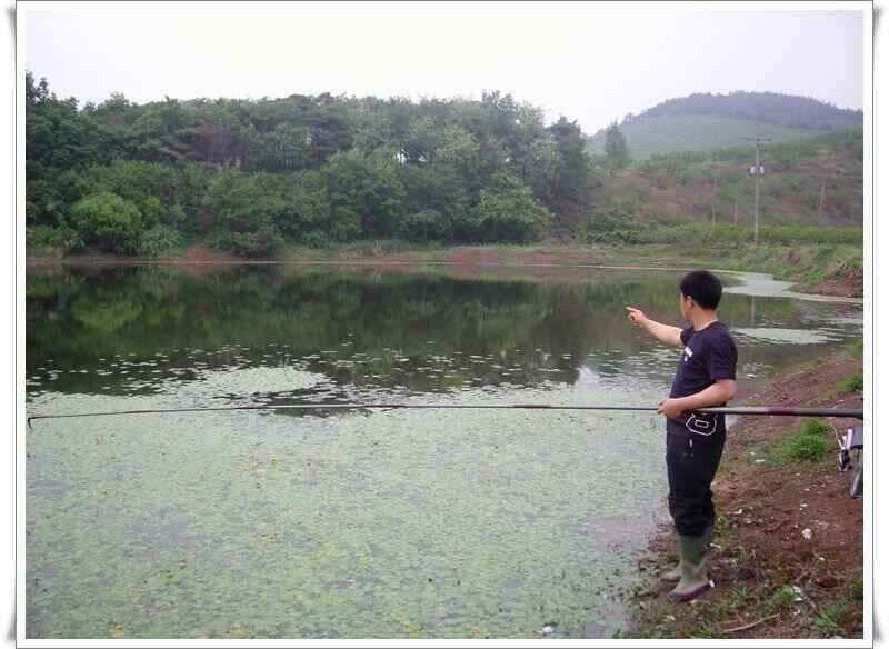 화북지 조황 (조황조행기 - 낚시점조황)