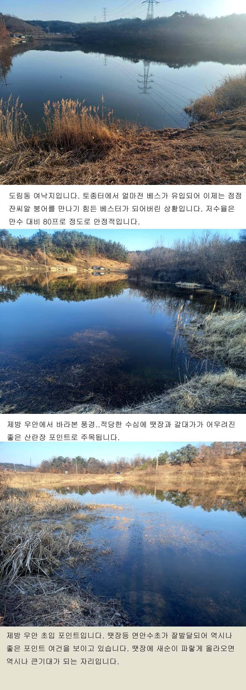 북영천권 소류지 탐방오랜만에 인사드립니다 (조황조행기 - 낚시점조황)