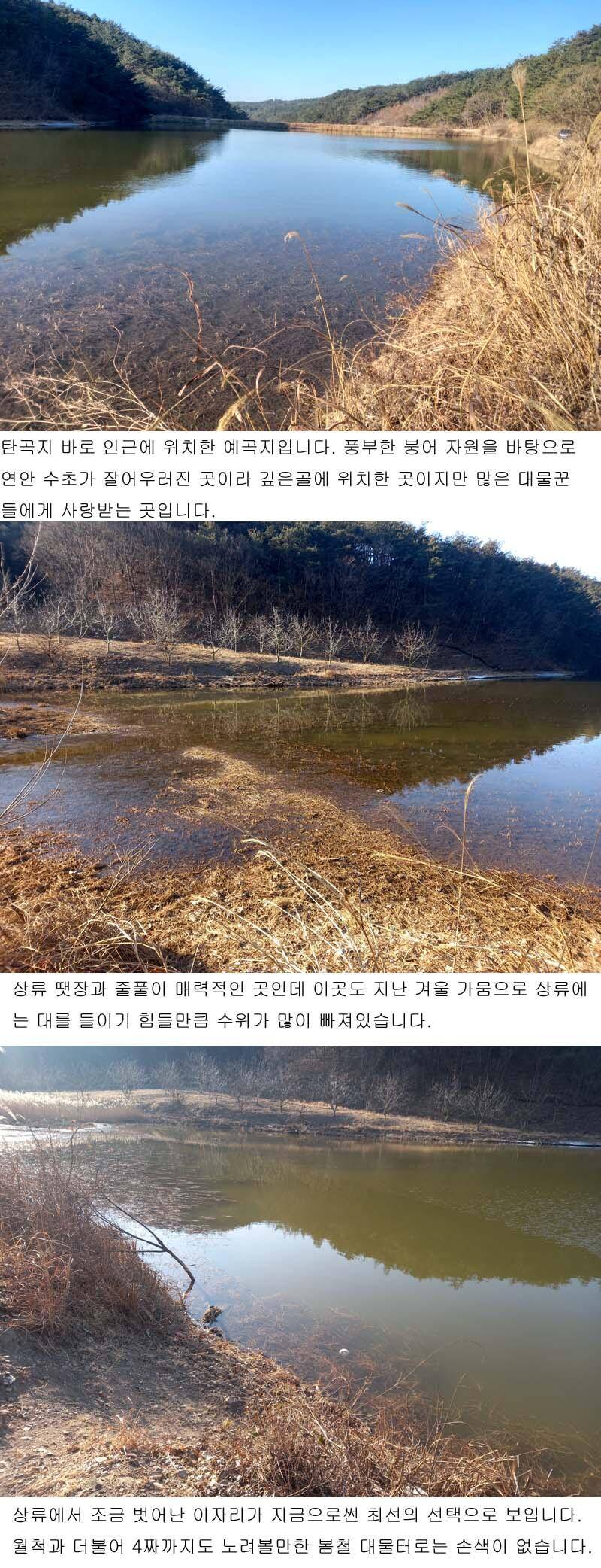 북영천권 소류지 탐방오랜만에 인사드립니다 (조황조행기 - 낚시점조황)