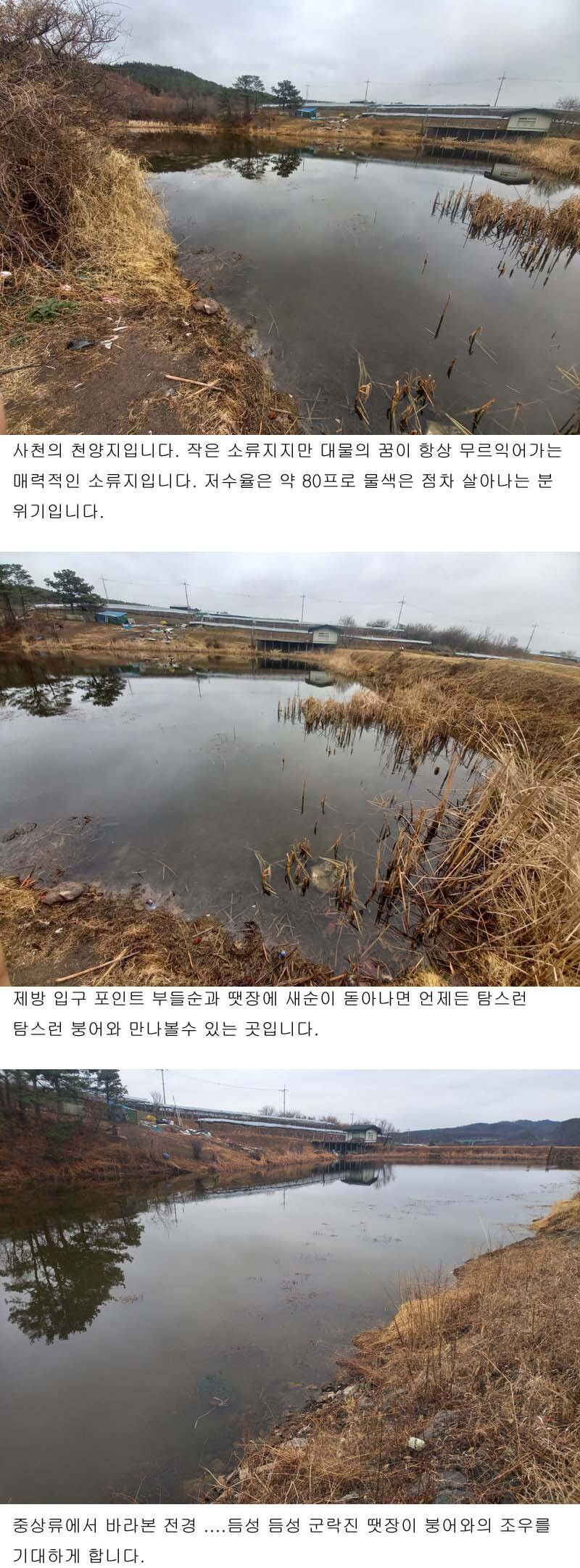 북영천권 소류지 탐방오랜만에 인사드립니다 (조황조행기 - 낚시점조황)