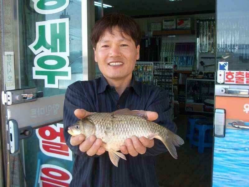 서태안 대산소 수로권 주중출조시 참고하세요 (조황조행기 - 낚시점조황)