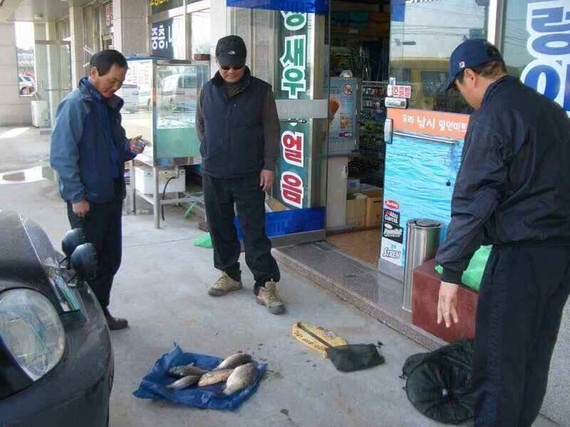 서태안 대산소 수로권 주중출조시 참고하세요 (조황조행기 - 낚시점조황)