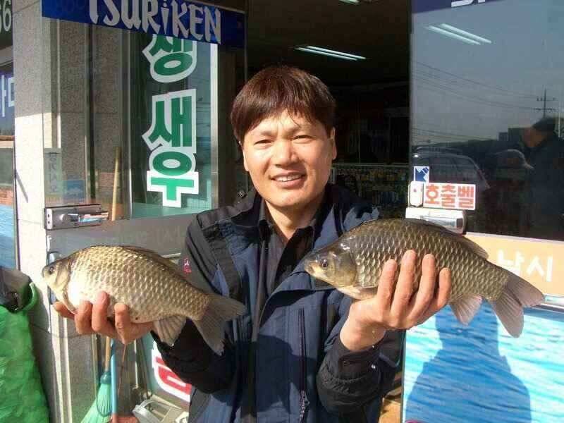 서태안수로권 월척 주중 주말출조시 참고하세요 최대어39cm로 마감 (조황조행기 - 낚시점조황)