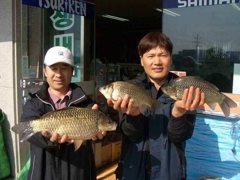 서태안수로권 월척 주중 주말출조시 참고하세요 최대어39cm로 마감 (조황조행기 - 낚시점조황)