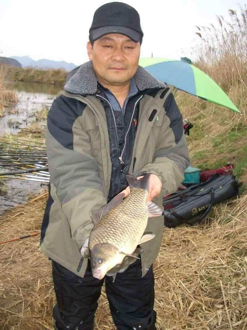 서태안대산수로권 현재조황 주중출조시 참고하세요 42cm까지 나왔네요 (조황조행기 - 낚시점조황)