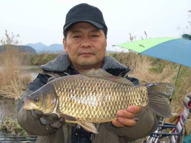 서태안대산수로권 현재조황 주중출조시 참고하세요 42cm까지 나왔네요 (조황조행기 - 낚시점조황)
