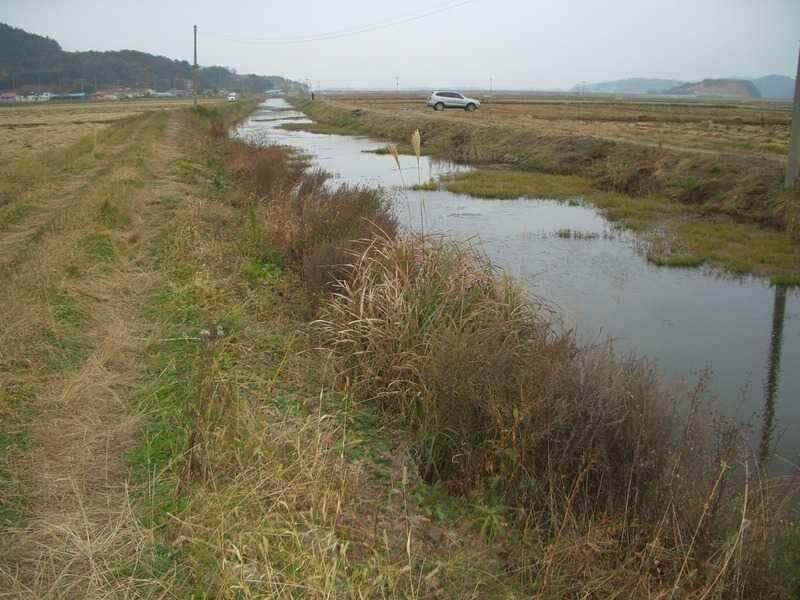 서산 수로권 조황입니다 붕어구경하세요 (조황조행기 - 낚시점조황)