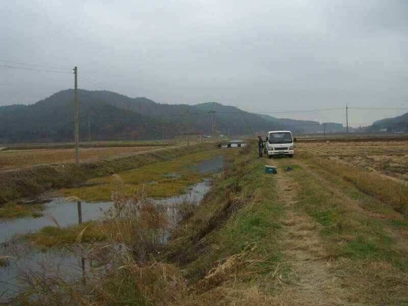 서산 수로권 조황입니다 붕어구경하세요 (조황조행기 - 낚시점조황)