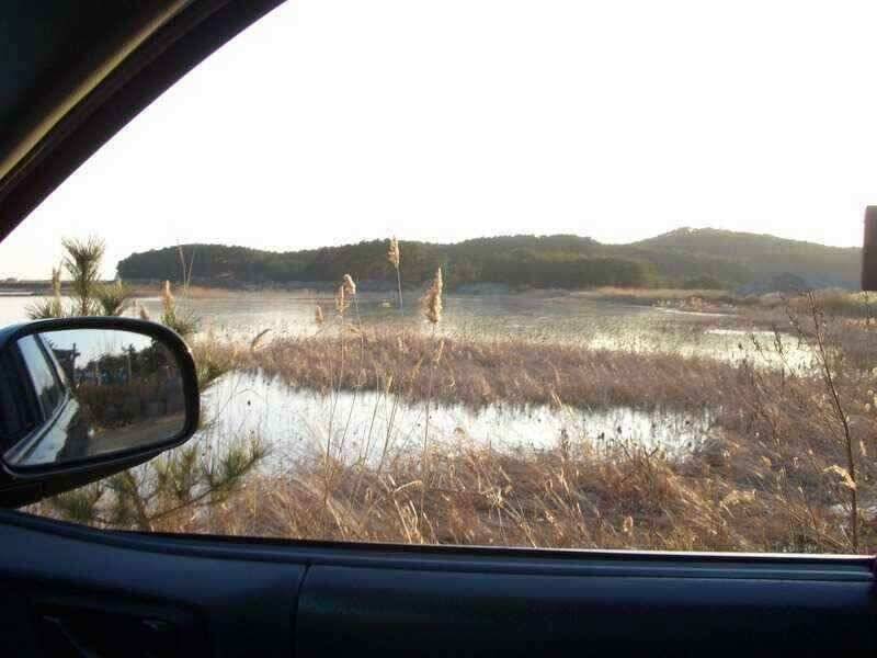 서산 가지 수로 태안 저수지수로권 주중출조시 참고하세요 (조황조행기 - 낚시점조황)