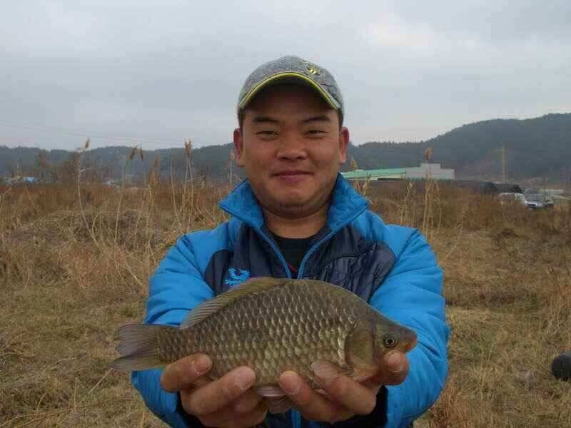 서산 태안 소류지 저수지권 조황 (조황조행기 - 낚시점조황)