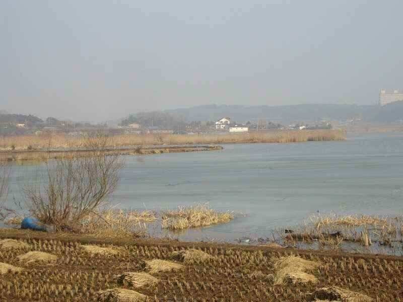 서산 태안 소류지 저수지권 조황 (조황조행기 - 낚시점조황)