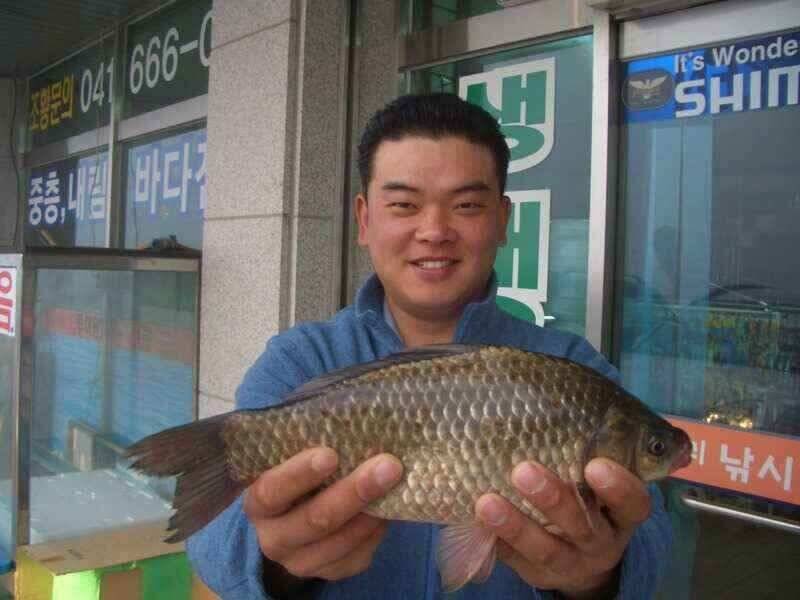 서산 태안 소류지 저수지권 조황 (조황조행기 - 낚시점조황)